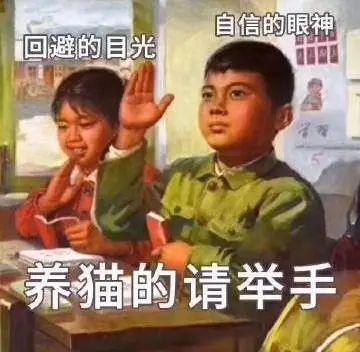 宠物常见的几个病,最严重的宠物疾病