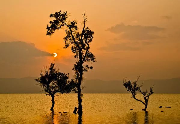 东南亚9大奇葩水果,第3个在中国是爆款!