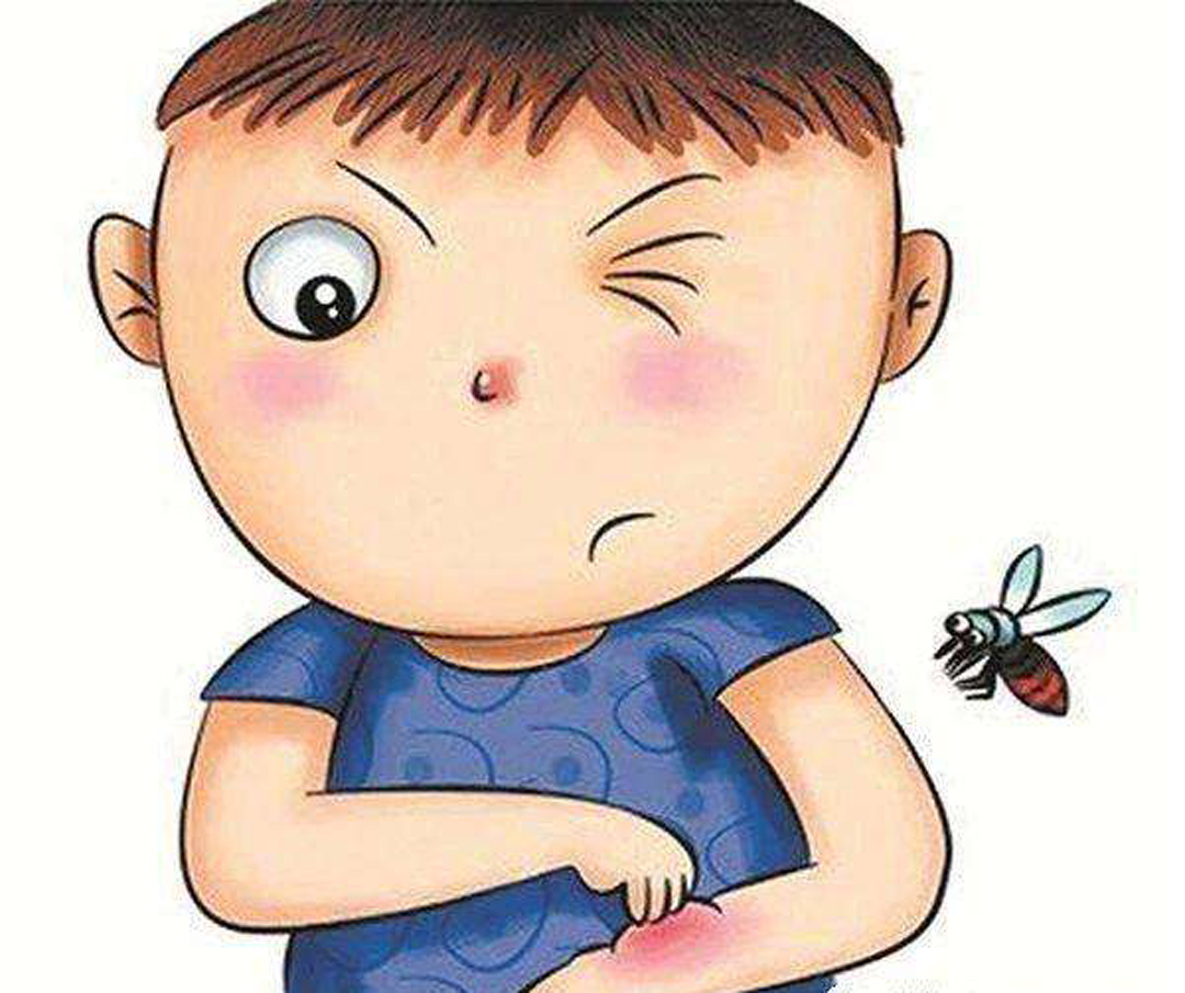 宝宝被蚊子咬了用紫草膏可以吗,婴儿被蚊子咬可以用泰国青草药膏