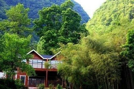 洛阳白云山避暑最佳景区,洛阳养子沟避暑胜地