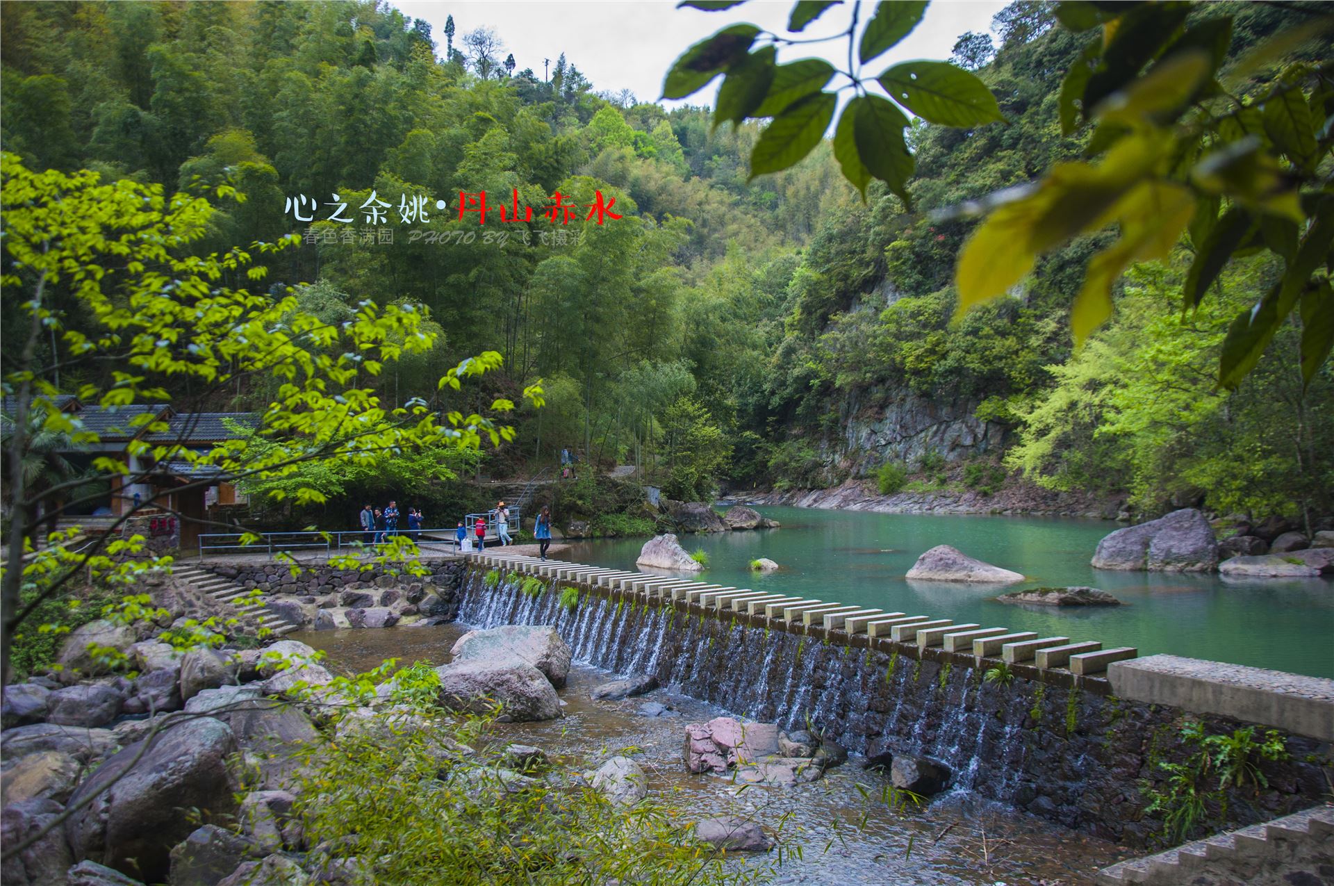 丹山赤水的老柿林景区,丹山赤水柿林古村