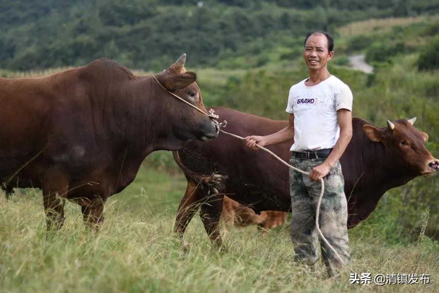 农特产品助推乡村振兴,农特产品上行闯新路
