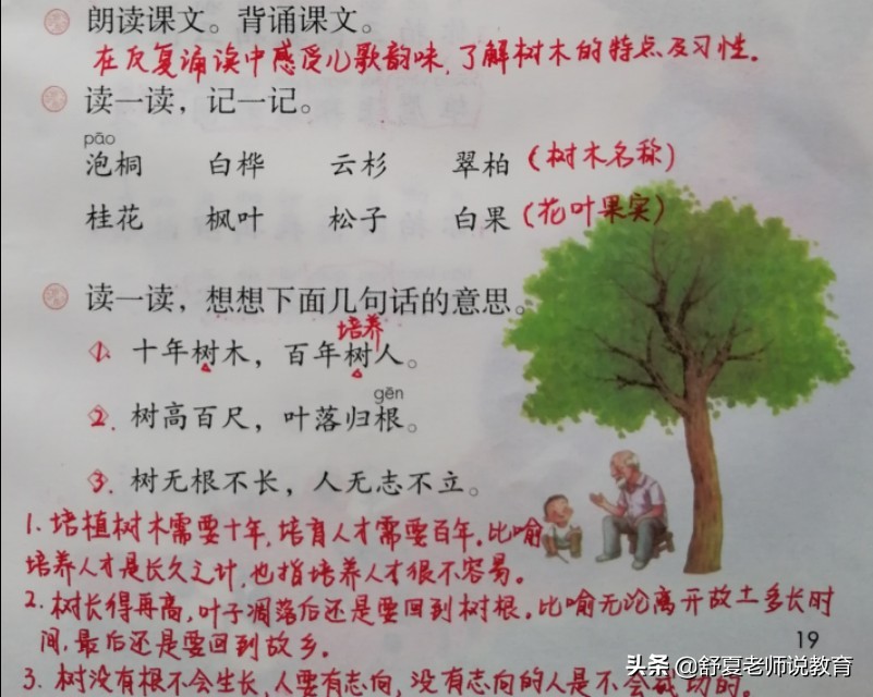 二年级树之歌课文笔记整理,小学二年级树之歌内容