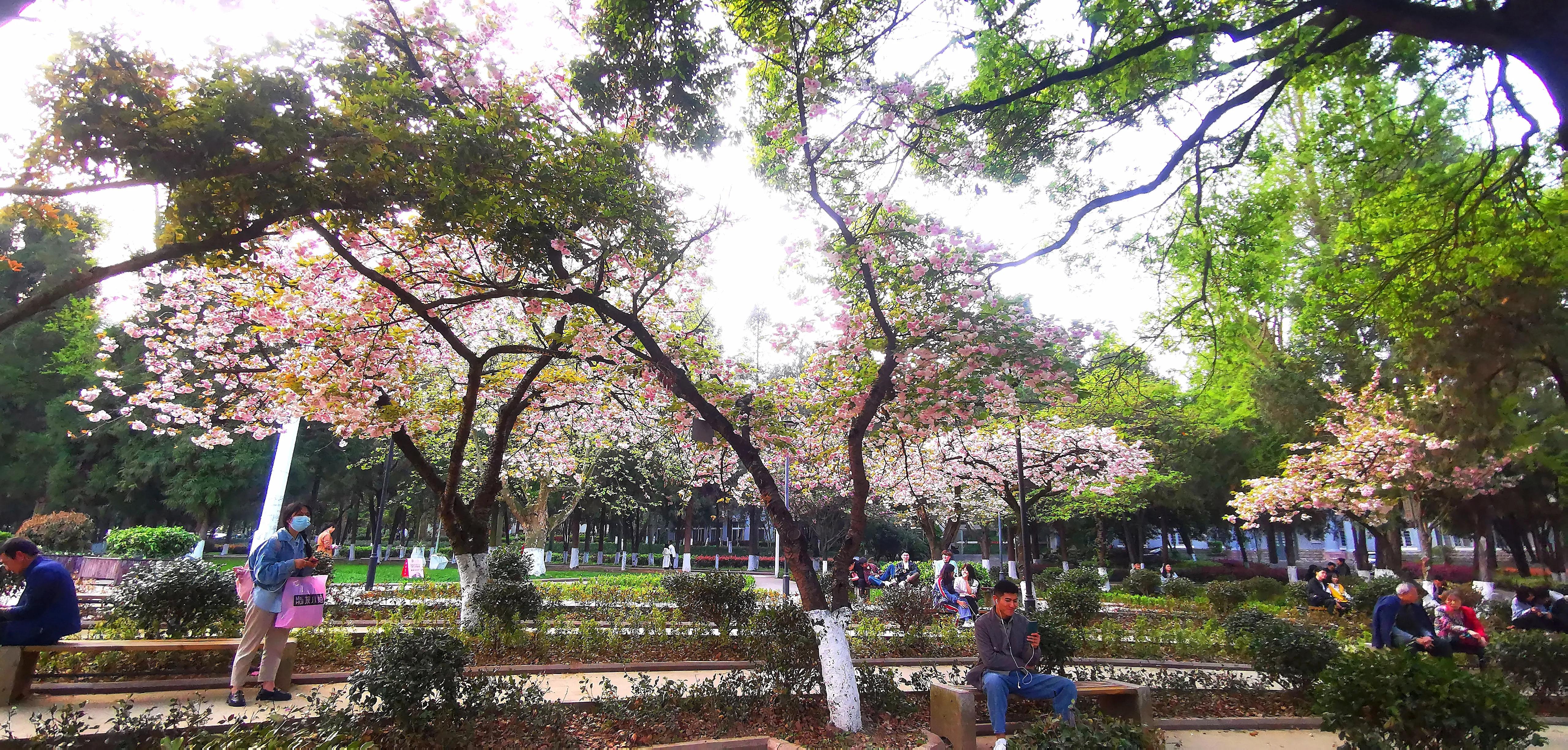 贵州大学1984级管科系同学欢聚毕节录