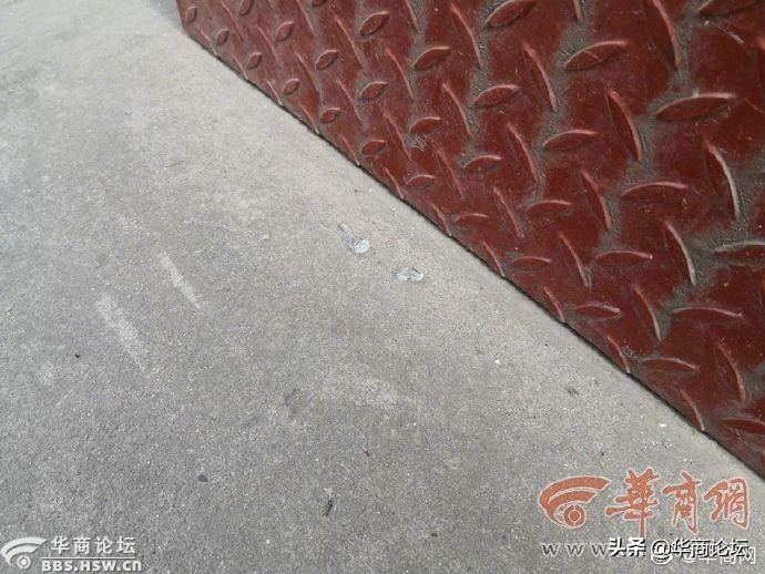 兵马俑一号坑第三次发掘现场 (兵马俑3号坑发掘了吗)