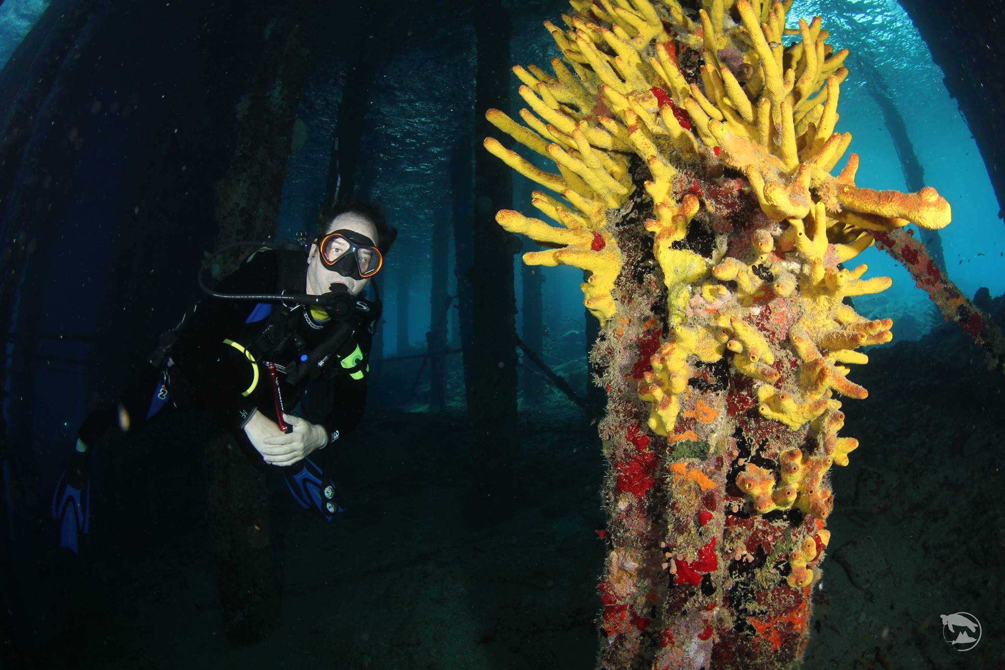 12月最佳旅游冷门目的地,12月旅游的最佳地方不冷