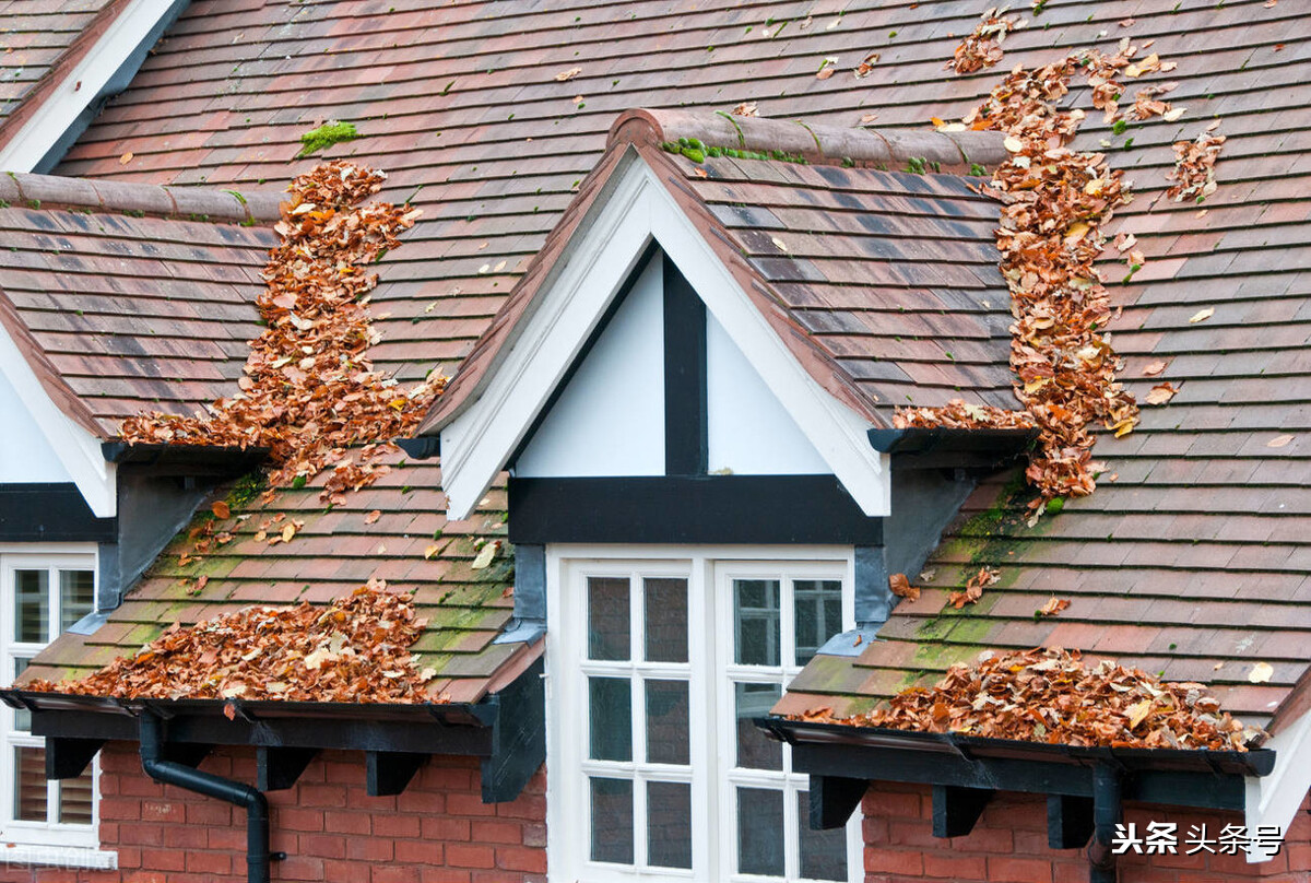 保洁员拒交物业费标准,物业保洁员引起投诉有哪些原因