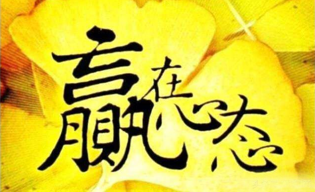 炒币哪种币比较好,咋炒币