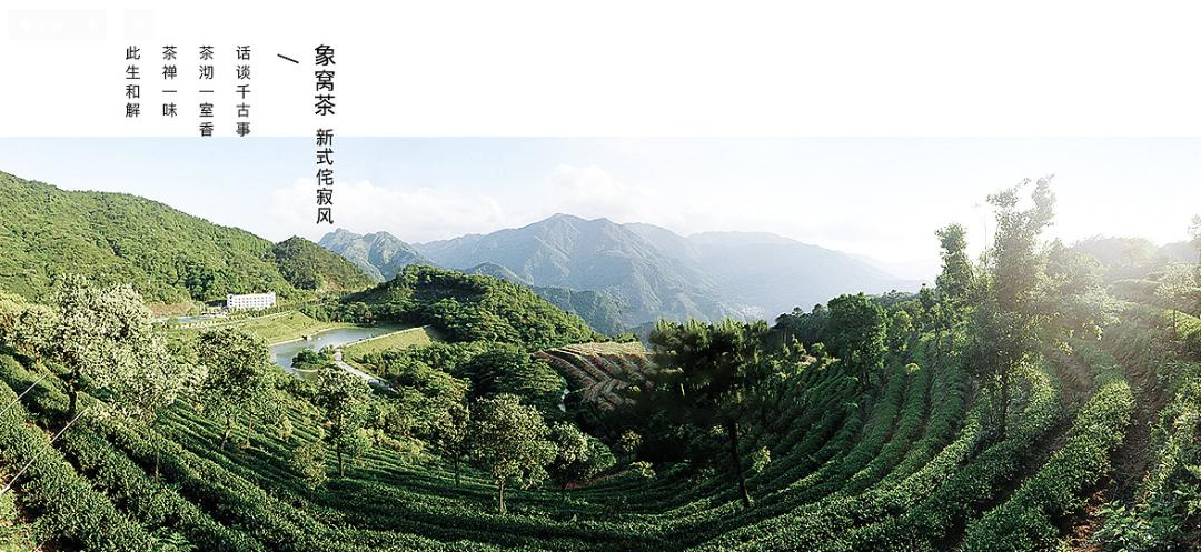 最好的茶叶包装设计,茶叶的包装设计说明
