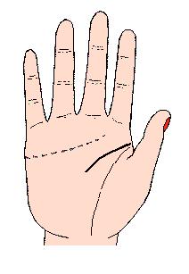 手相解密,手相掌纹分析学