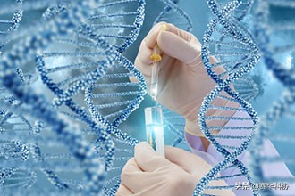 无痛试管取完卵过程疼吗,无痛试管取完卵全过程疼不疼