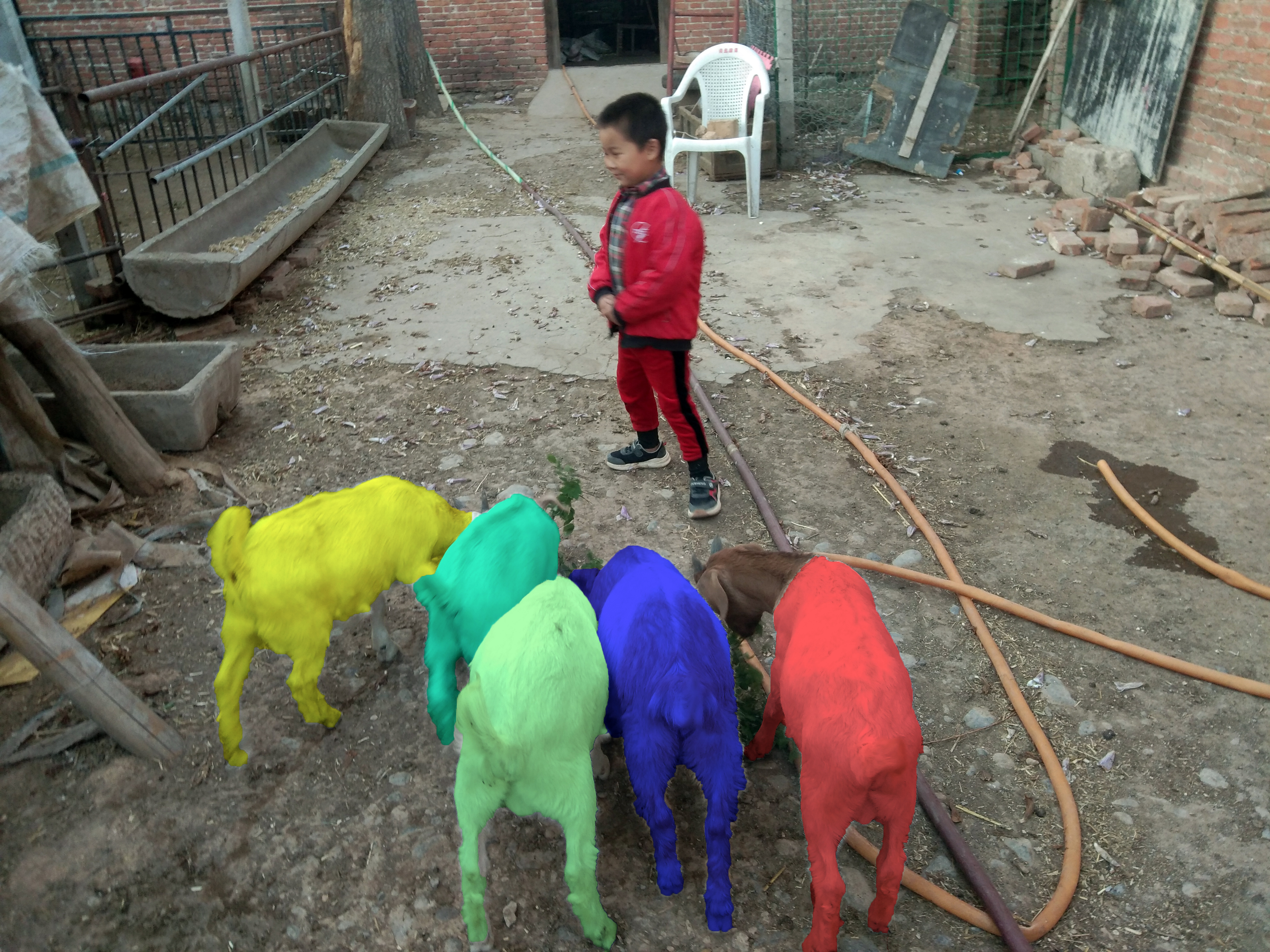 如何通过卖羊赚钱,买卖羊的交易有没有利润