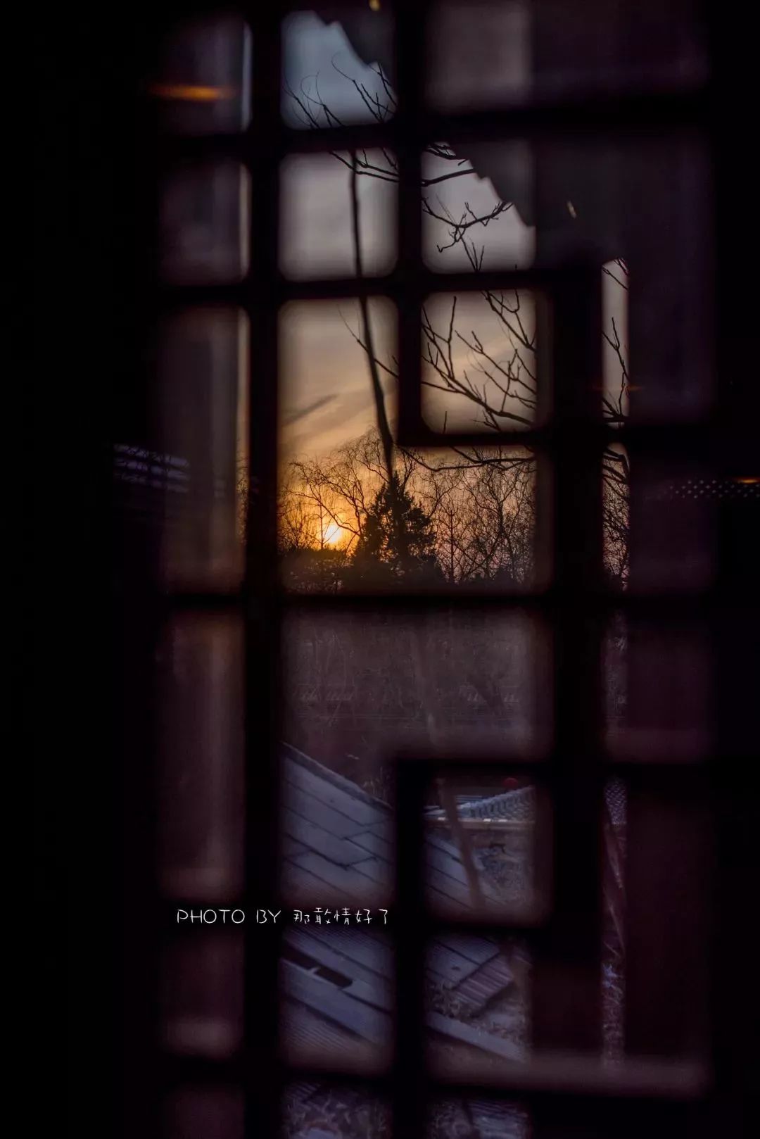 故宫北边的胡同里藏着本地人都不知道秘境酒店,外国人抢着住