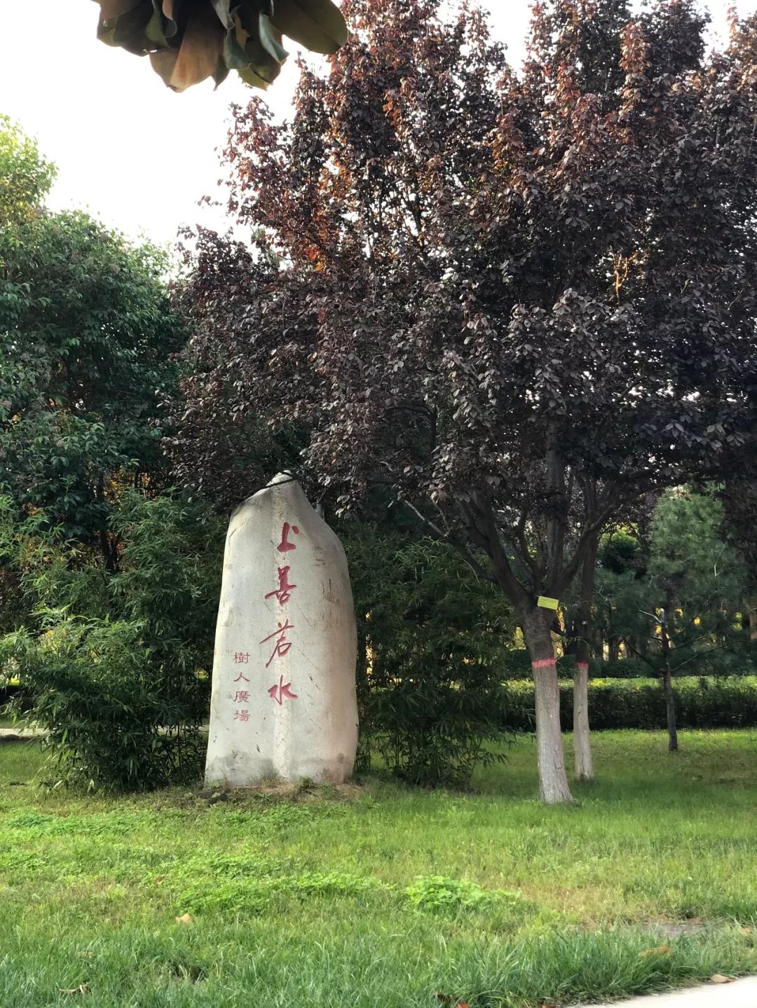 西安四大医学院,西安医学院第三临床医学院