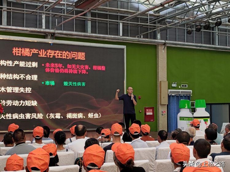 眉山柑橘推介会,眉山柑橘技术