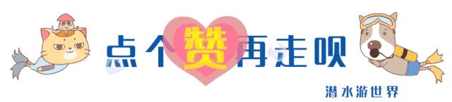 【迎春节目展播】徐启智朗诵《红红的对联，火火的歌》