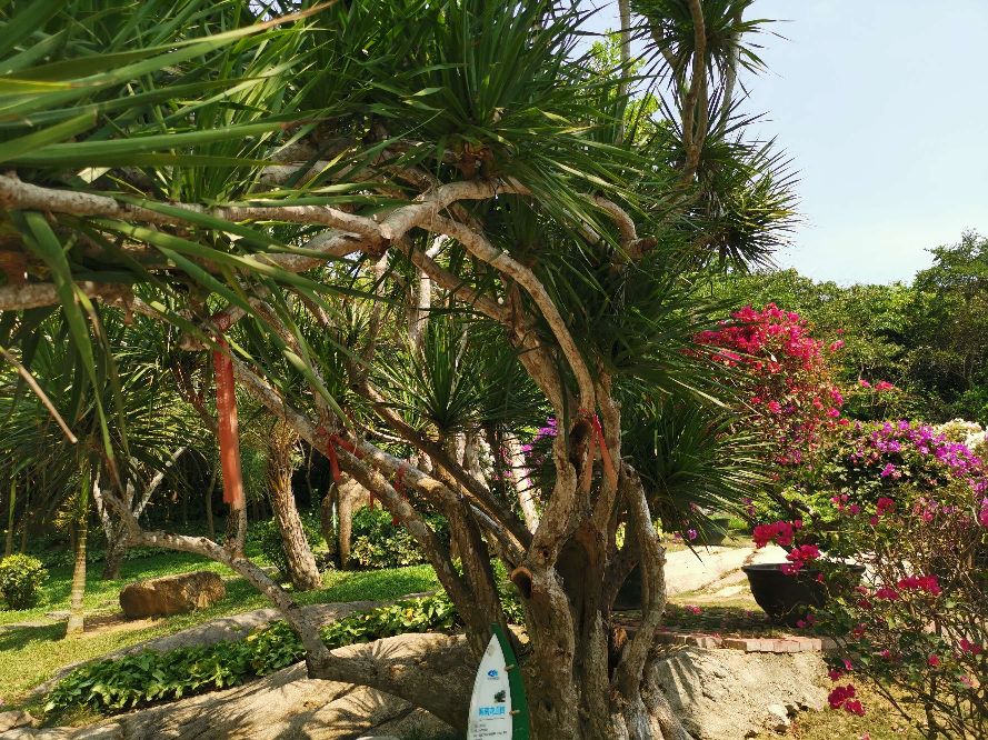 中国最大马尔代夫蜈支洲岛,中国马尔代夫蜈支洲岛视频