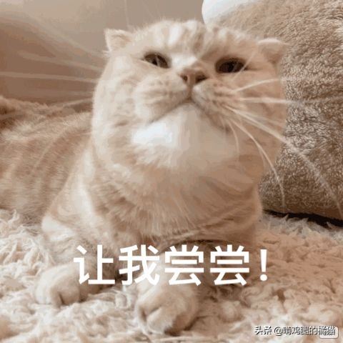 男朋友问我要不要吃东西咋回复,男朋友问我要不要吃夜宵怎么回复