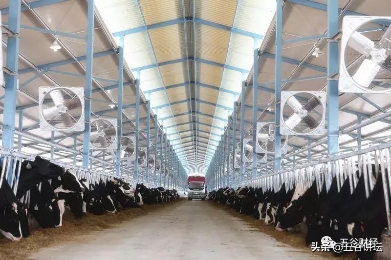 现代牧业经营状况,现代牧业2018营业收入