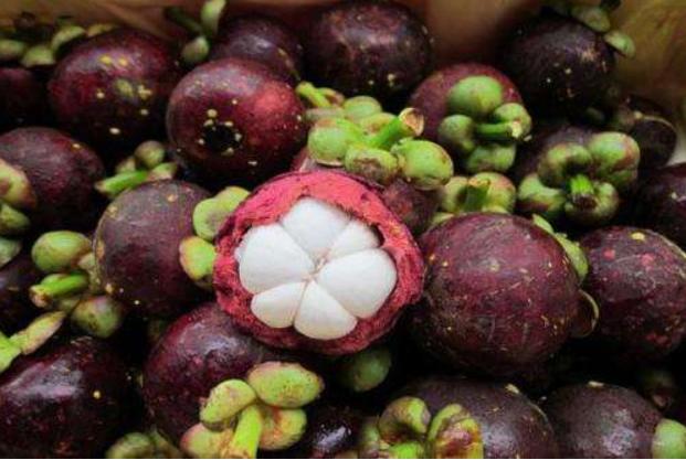 山竹怎么选公母,山竹挑选方法公母