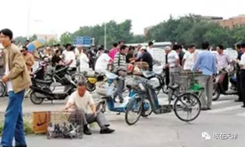 天津哏儿都的好去处,天津哏儿都