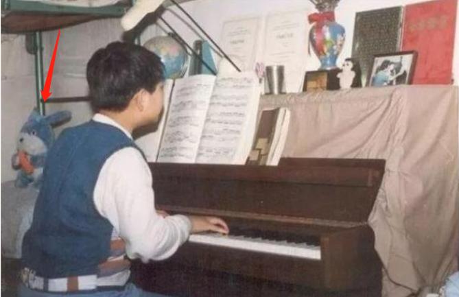 郎朗的成长辛酸历程,郎朗是如何一步步成为钢琴家的