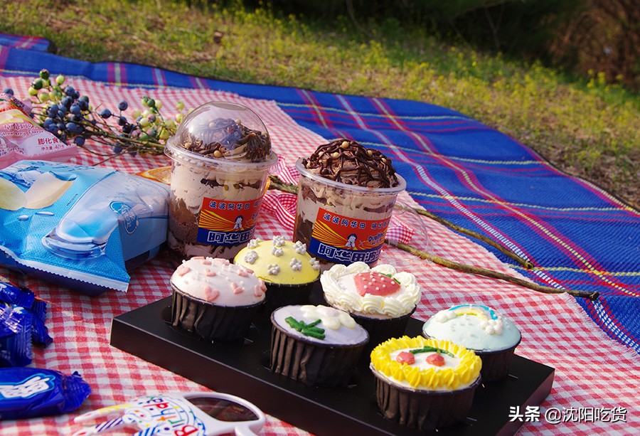 新冠大魔王还没打败，五一可别乱跑，咱就来个沈阳周边野餐郊游吧