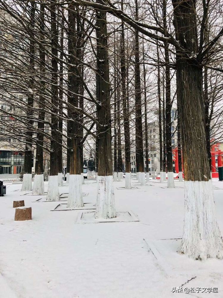 集结号里诗画情之一,瑞雪兆丰年