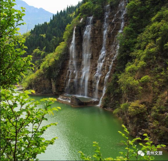 青州泰和山黄花溪,青州黄花溪风景区门票直播