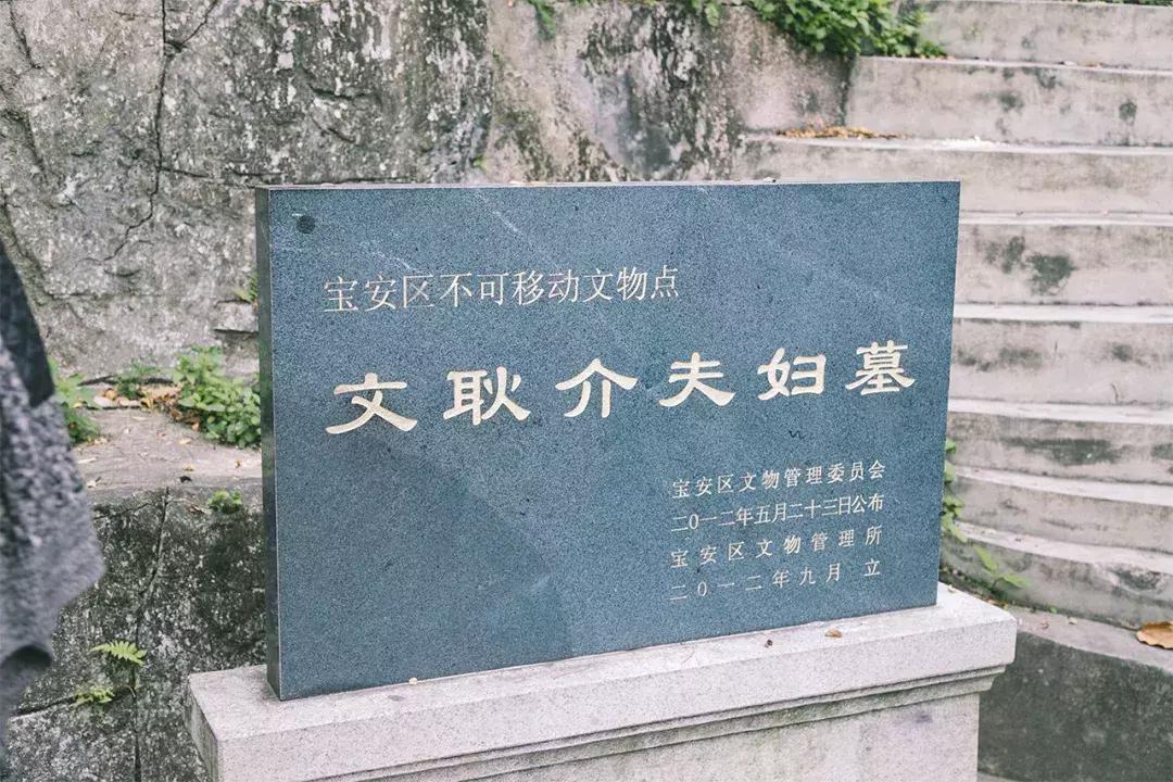 深圳这座城市很美,深圳这座城市风景太美了