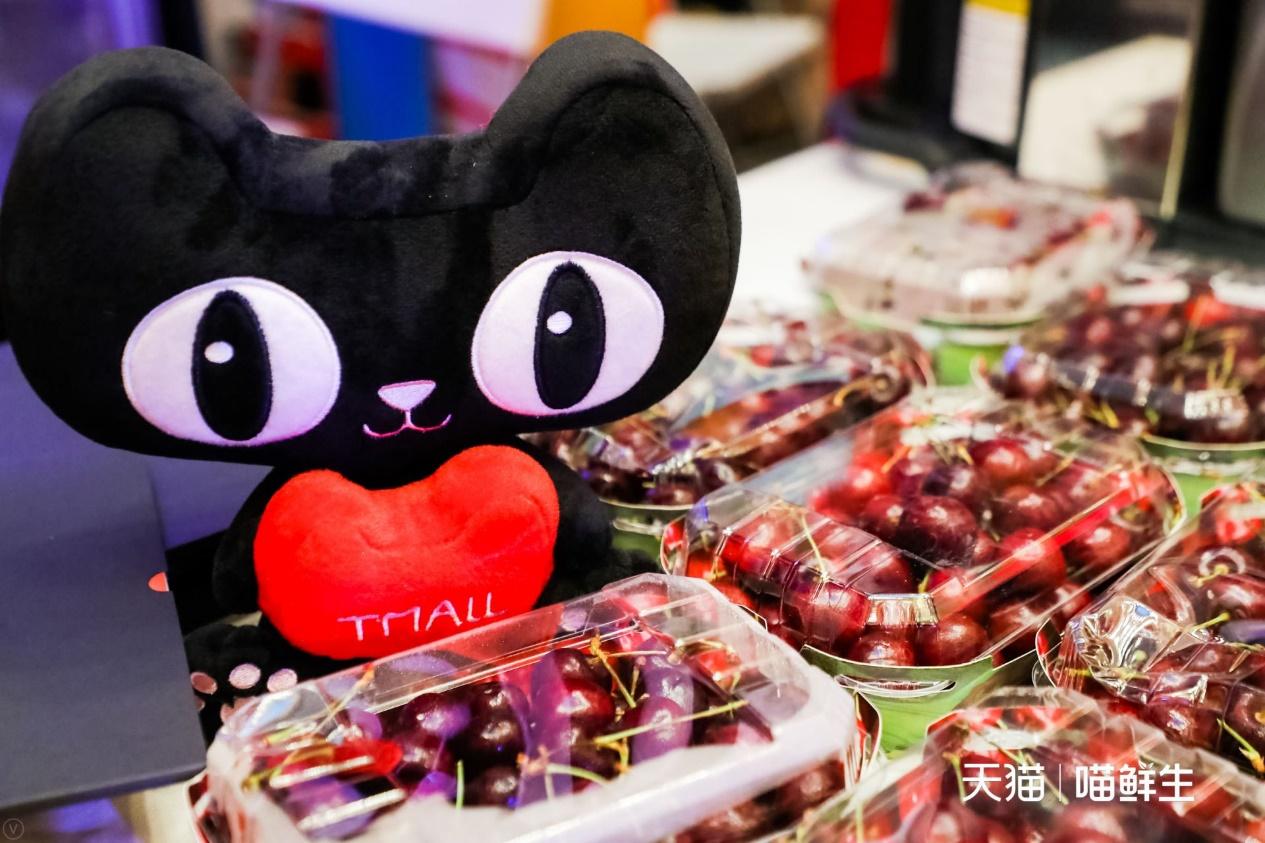 智利天猫国家旗舰店,智利天猫旗舰店