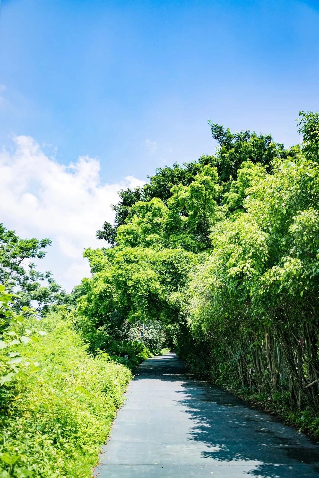 天下最美湖泊西湖,比西湖更美的湖泊