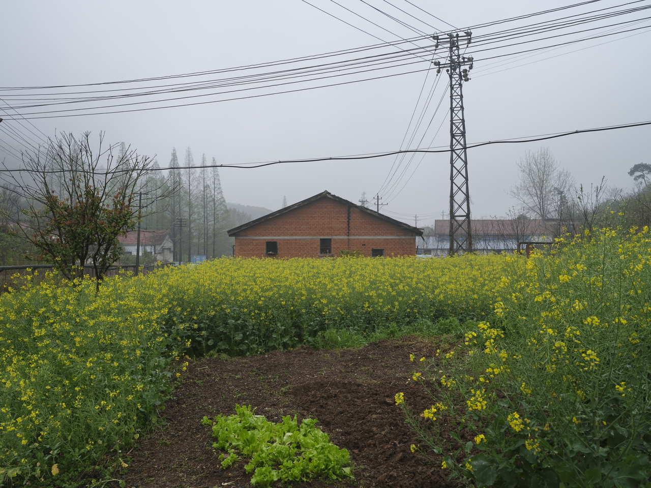 三线企业宏伟机械厂,三线企业宏伟机械厂老厂区视频