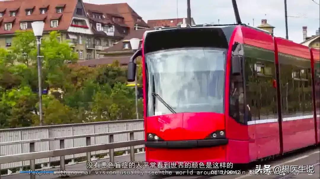 色盲眼中的世界,黄绿色盲患者眼中的世界