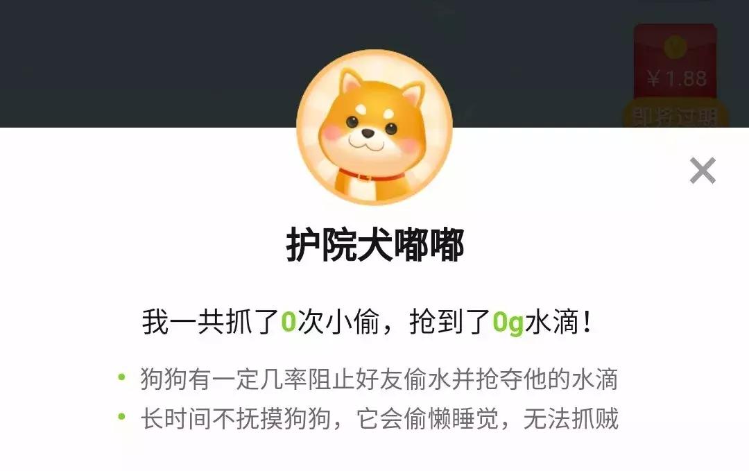 拼多多果园答题题库全部,拼多多果园答题入口