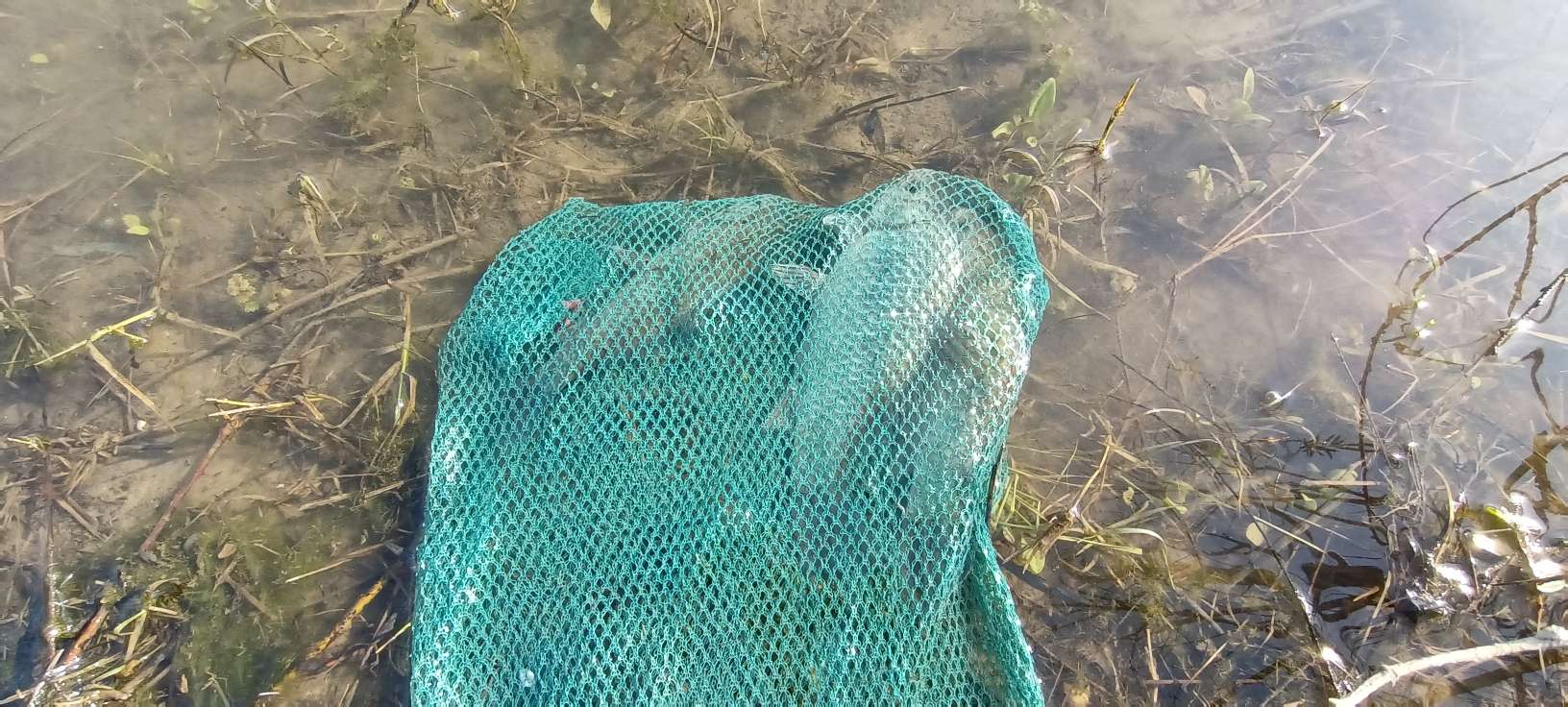 冬天的微锻炼，无意间找到一处篮球和足球场，非周末无人！来