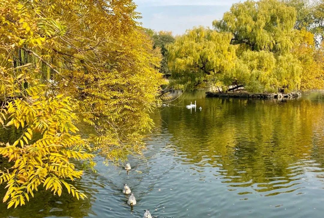 2017年北京市优美河湖,我市4条河湖入选省美丽河湖