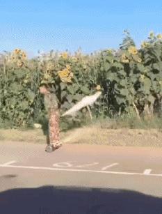 女朋友很漂亮但是有狐臭,女友有轻微狐臭怎么办啊