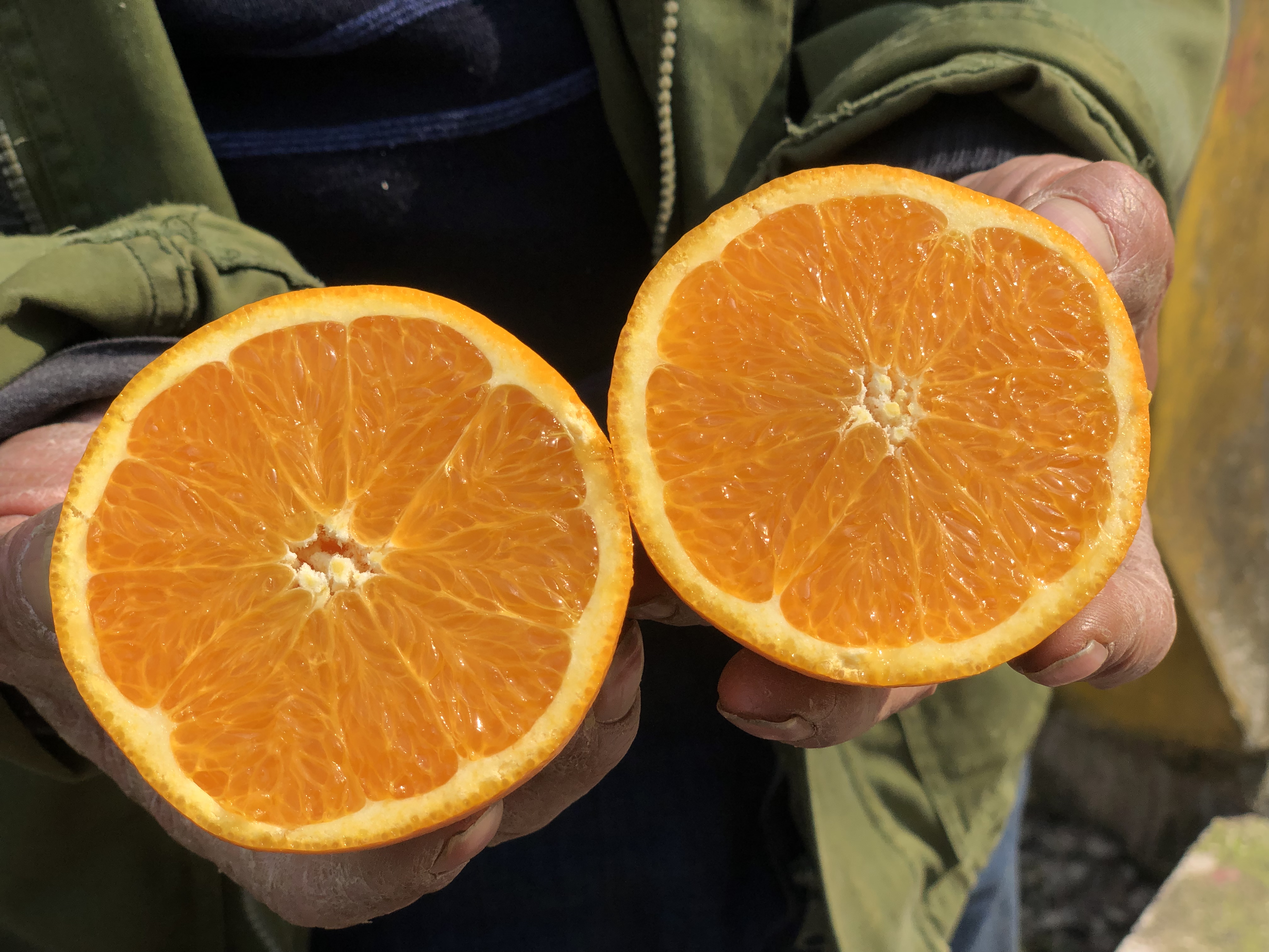 夏季最适合吃的6种水果,夏天这3种水果不宜多吃