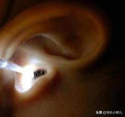三岁宝宝耳朵里进虫子,三岁小朋友耳朵进虫子怎么办