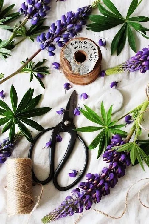 成为花艺师需要具备哪些条件,想当花艺师可以考什么学校