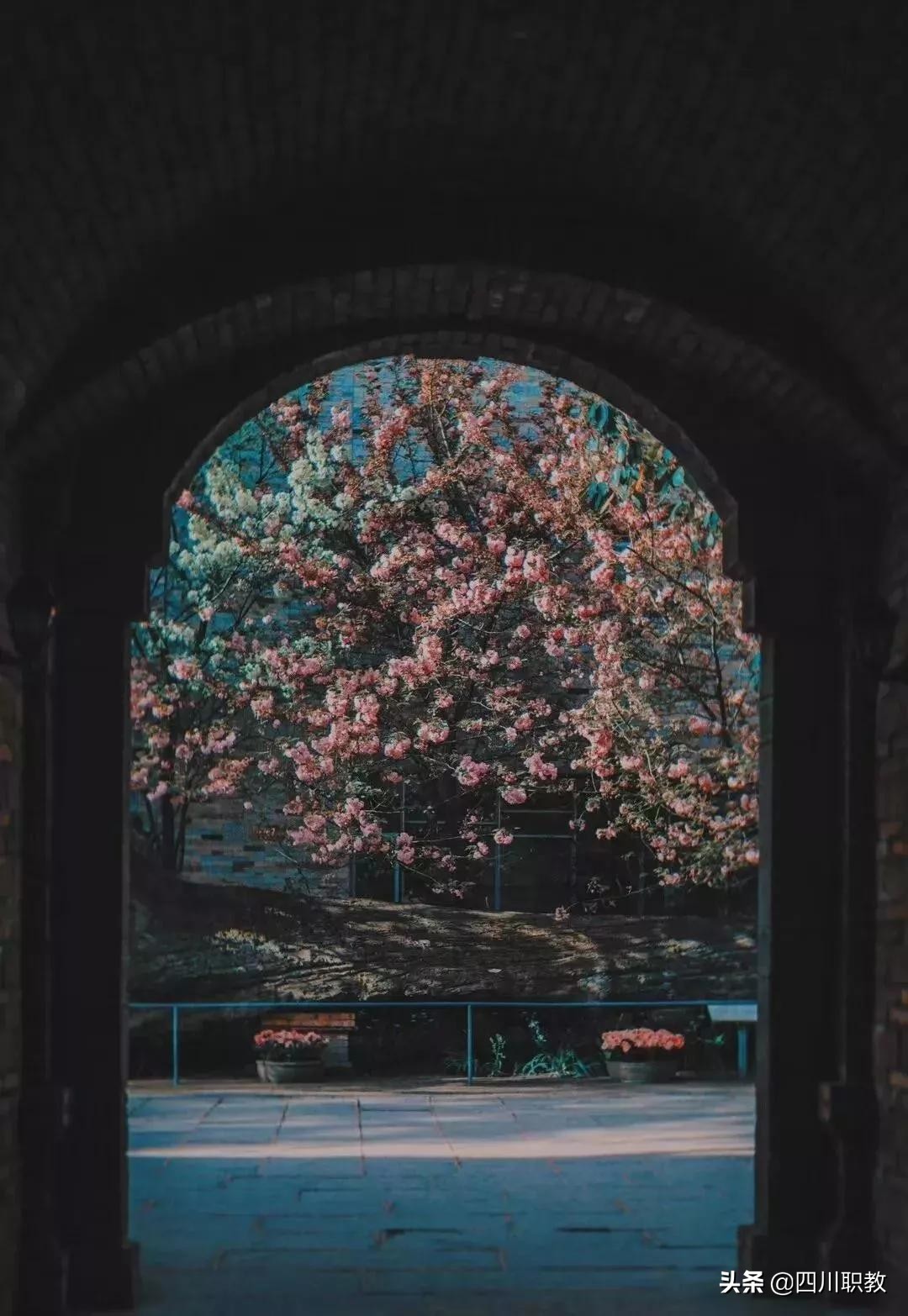 校园最美妆容，我们在成都塔子山附近的学校发现了