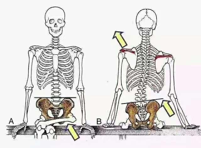 顽固性腰痛怎么治愈,困扰多年的腰疼问题终于搞清楚了