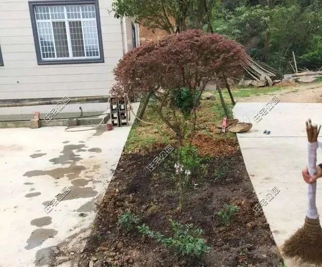 湖南陈先生30万自建农村小平房，有假山有菜园，占地1亩就是爽