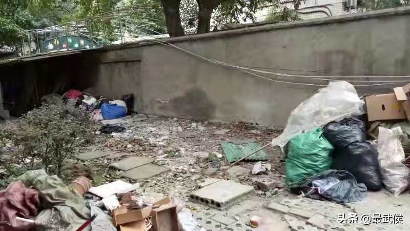 垃圾场变身生态长廊,垃圾场变网红景点