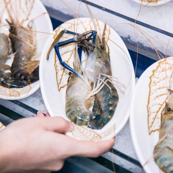 航母海鲜自助,陆家嘴自助帝王蟹