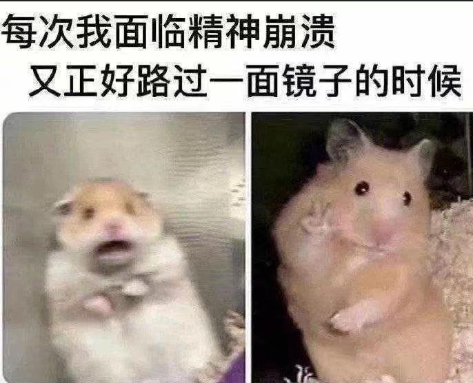 怎么接吻才能抓住男人的心,如何接吻让对方感到舒适