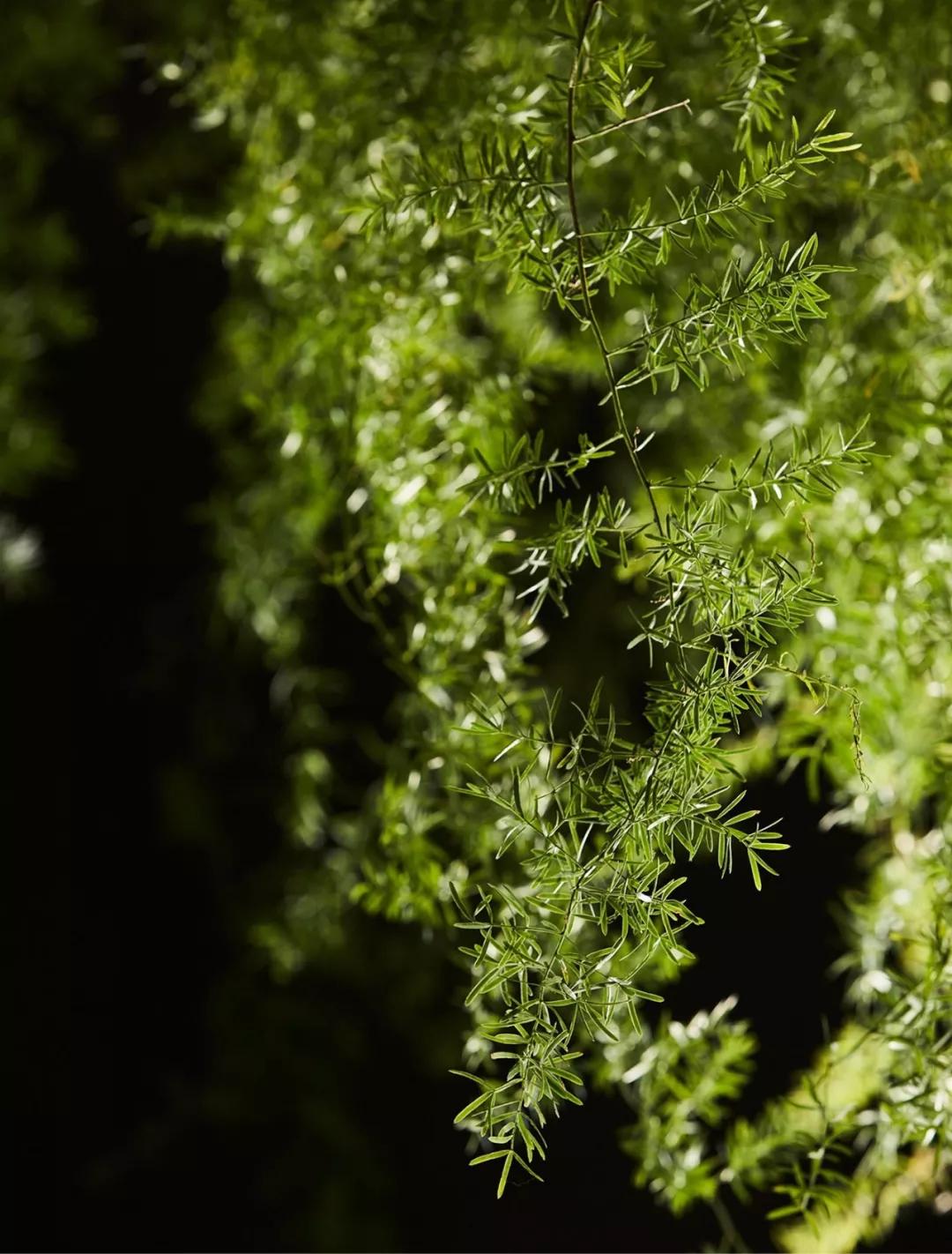 值得学习的室内设计师,最厉害的国外设计公司