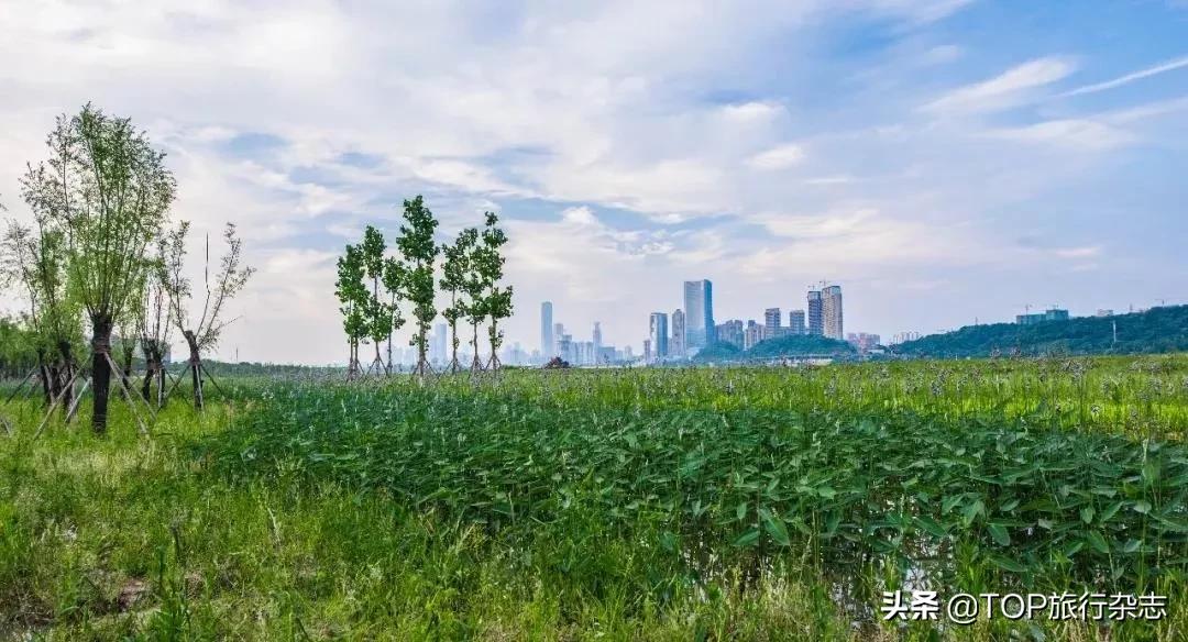 原来长沙隐藏了这14个人少景美的江心洲！不出城就能感受“海岛风情”，有些可以追溯到五代十国……