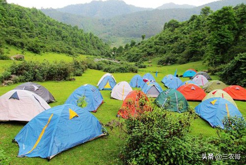 农村创业项目简介及前景分析,农民创业项目的盈利模式